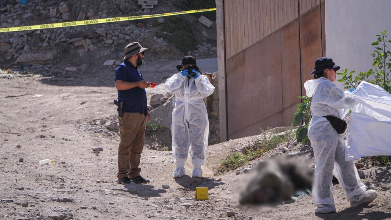 Fotos: Border Zoom/Baja News