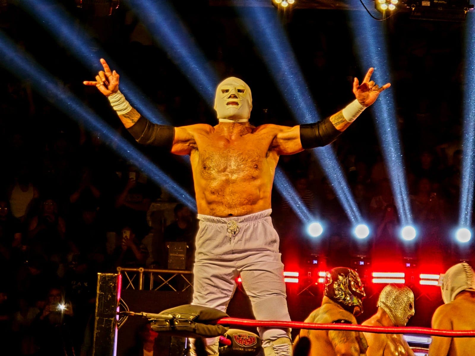 Foto: Baja News