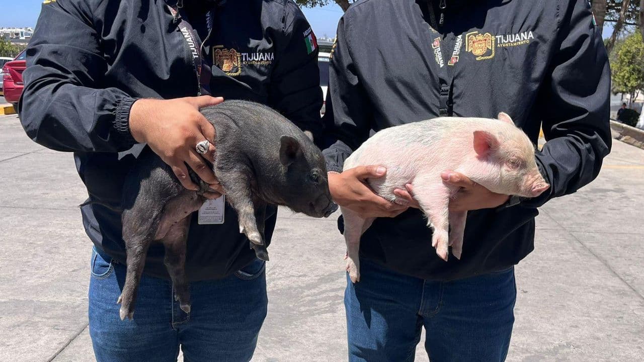 Foto: Cortesía