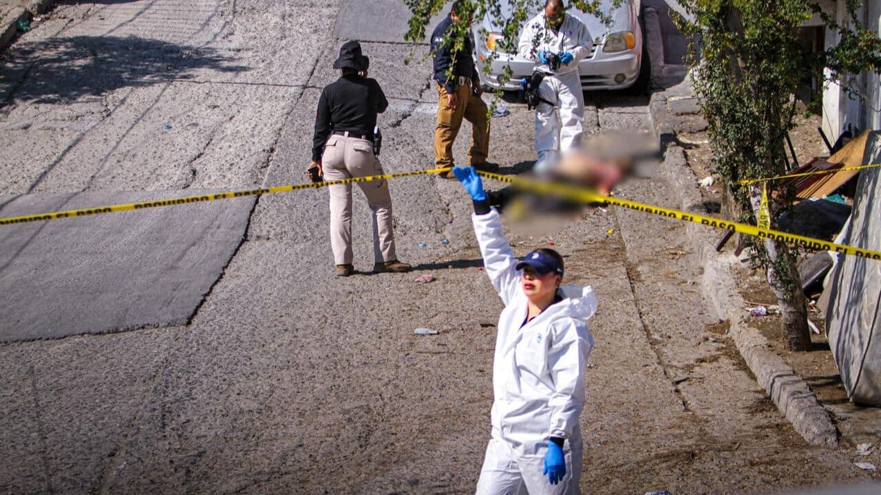 Fotos: Border Zoom/Baja News