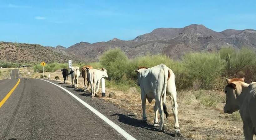 Foto: Cortesía