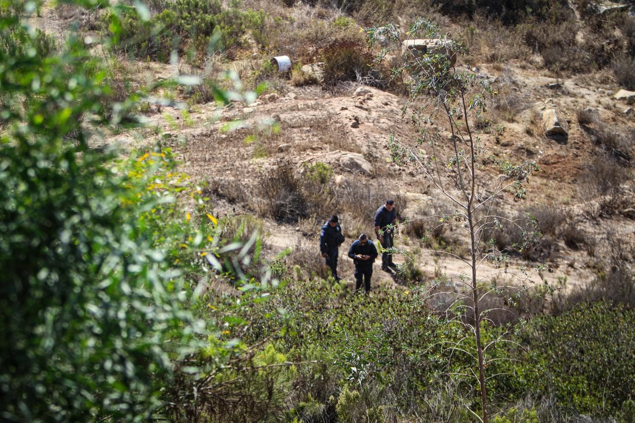 Fotos: Border Zoom