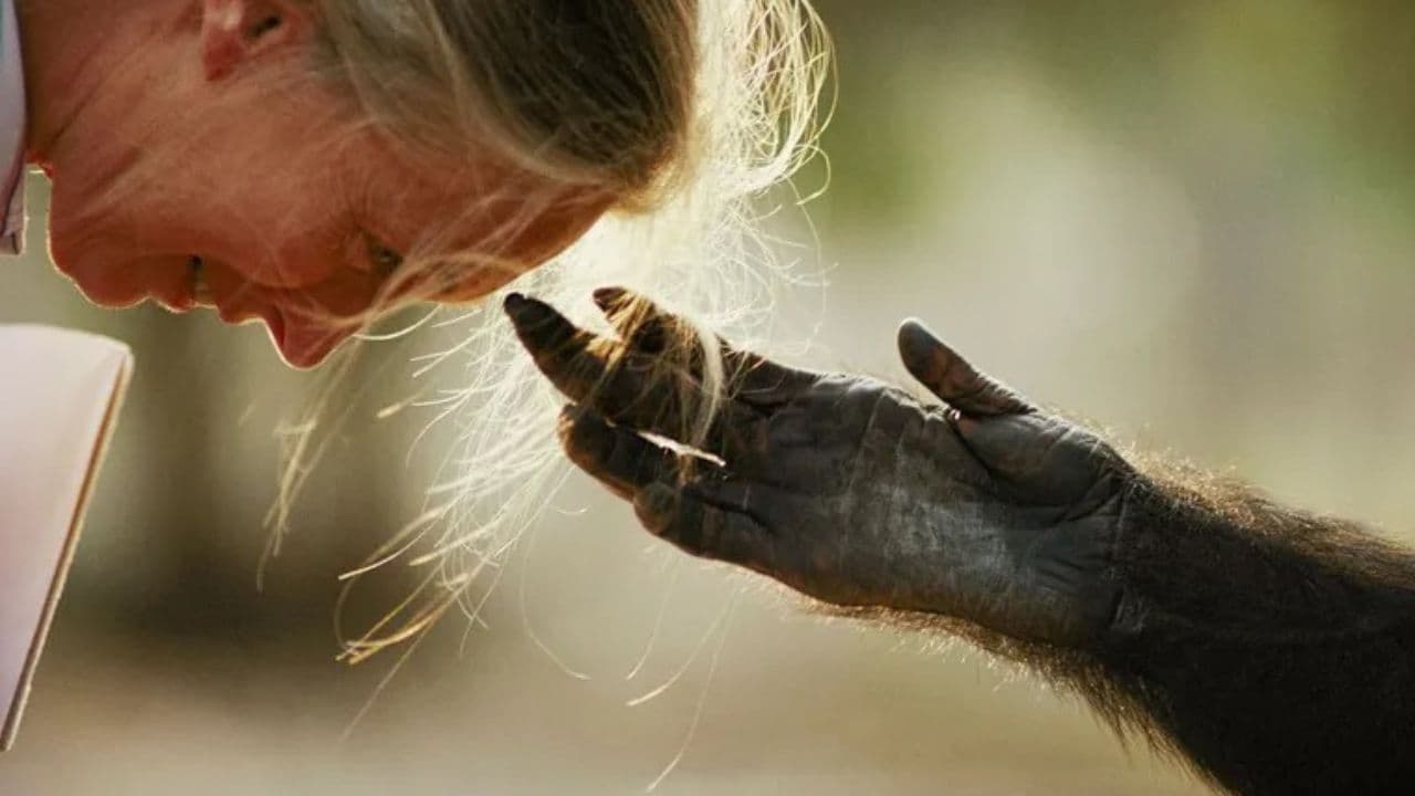Foto: Web