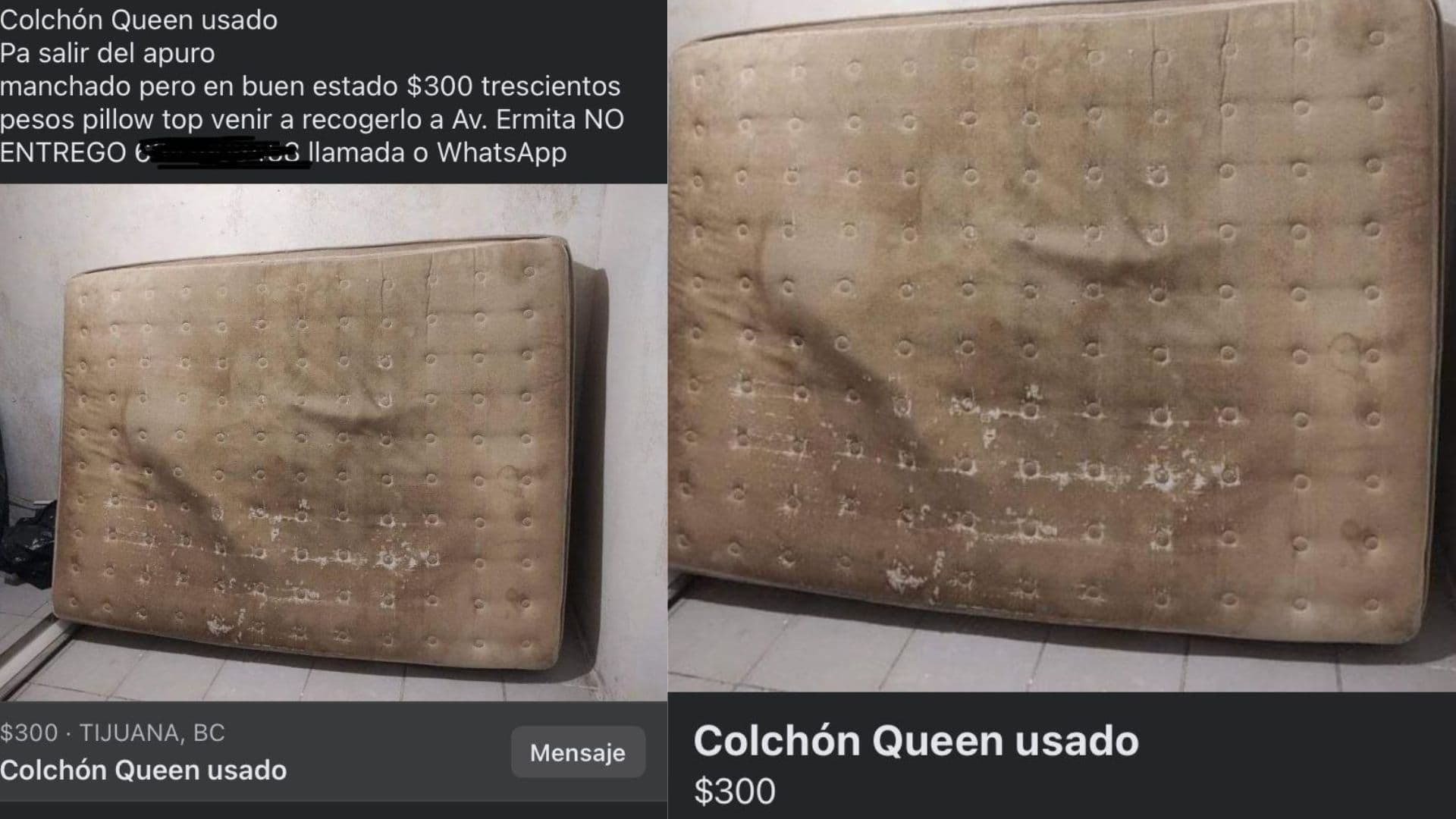 Foto: Web