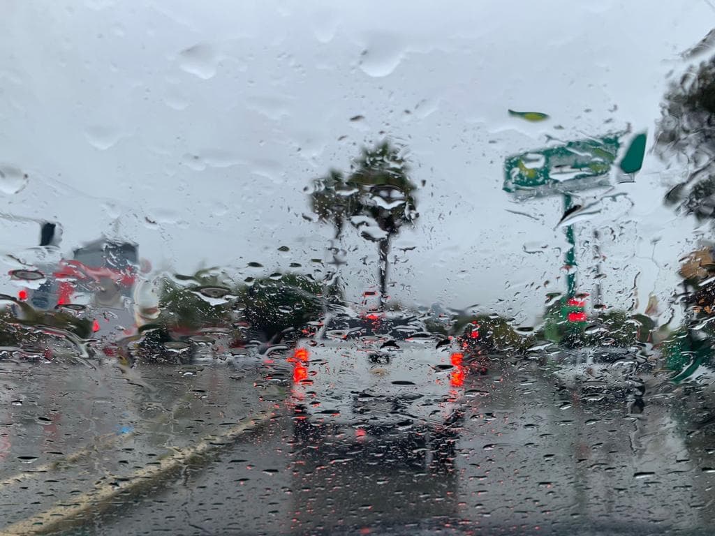 Imagen Cortesía