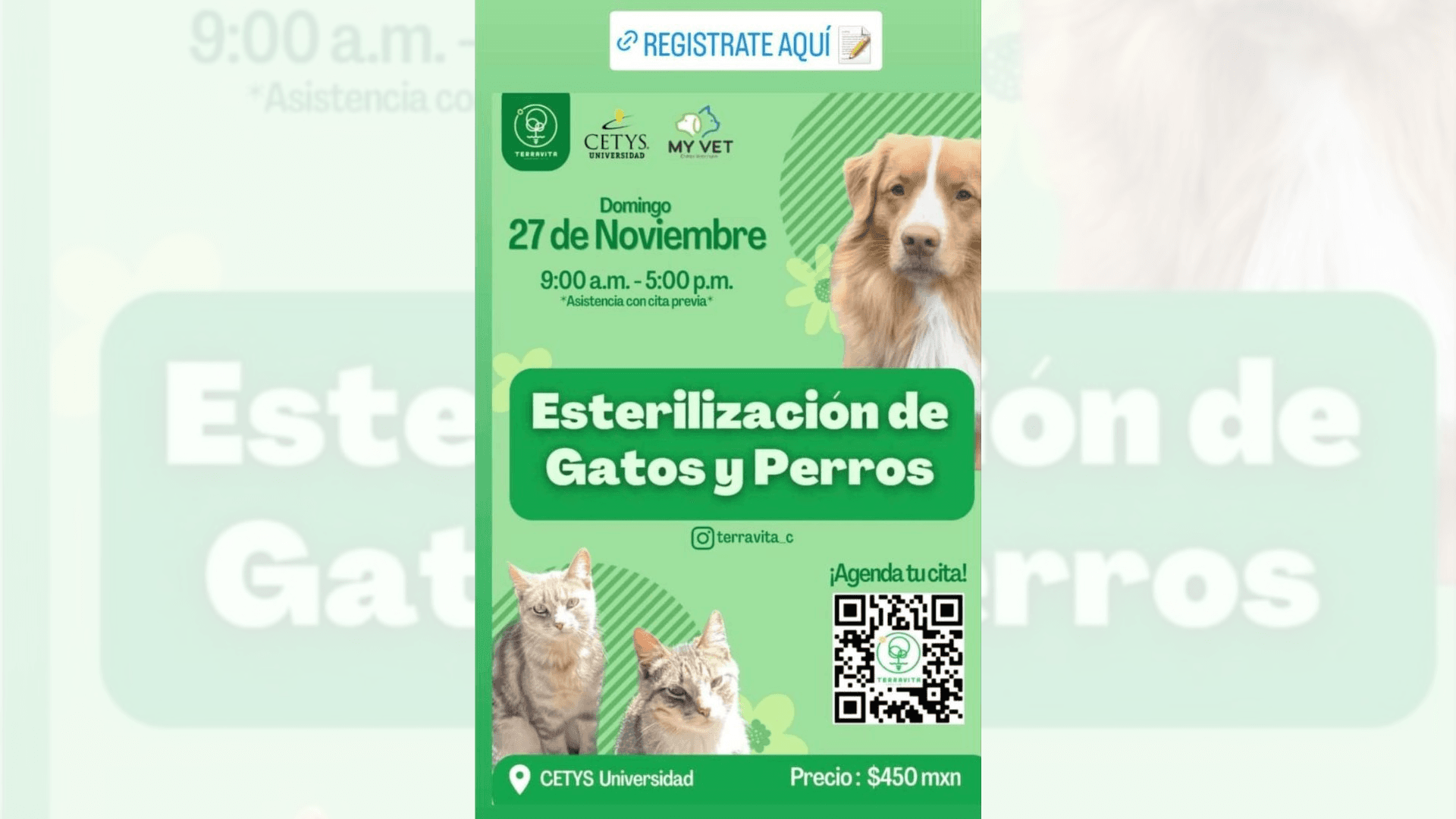 Foto: Cortesía