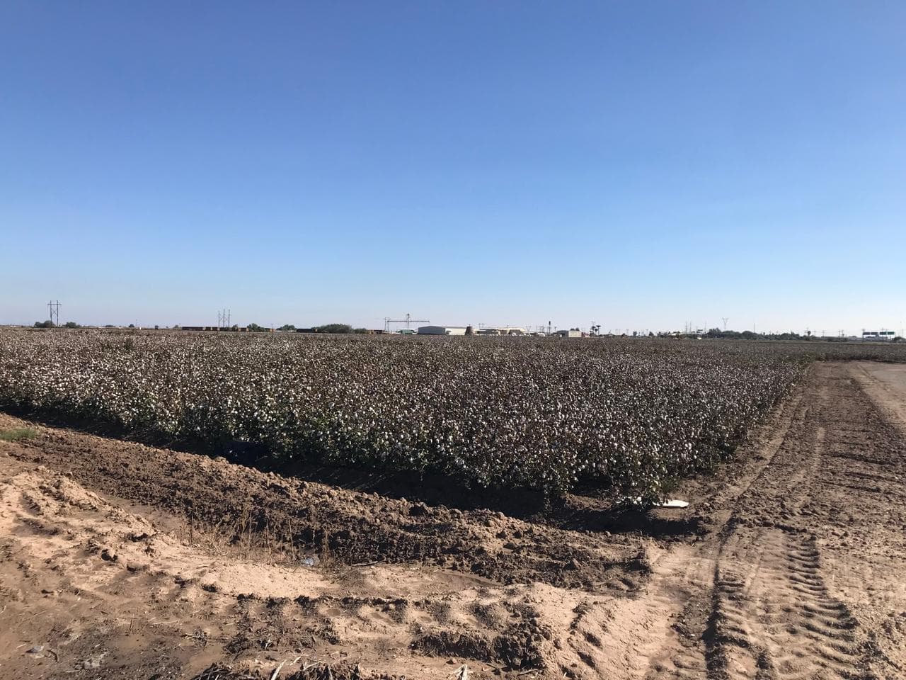 Foto: Baja News