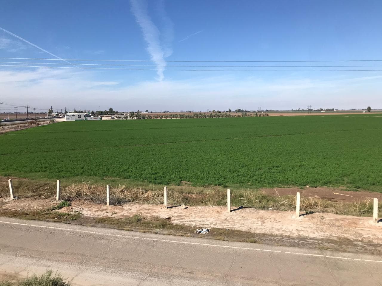Foto: Cortesía