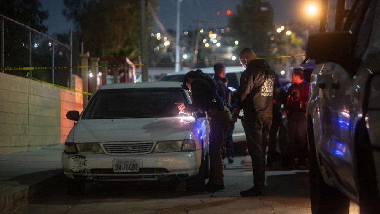 Foto: Border Zoom/Baja News