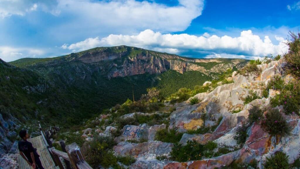 Reforestarán la Joya Honda, lugar de especies endémicas IFOTO: Web