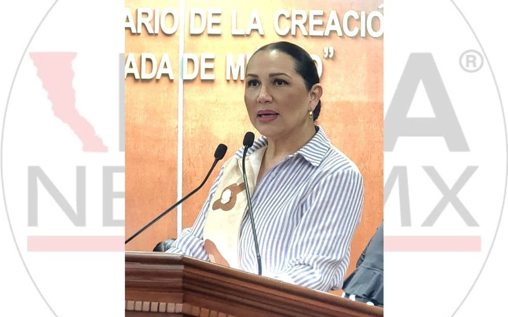 La diputada Araceli Geraldo propone reformas para cerrar las puertas al tráfico ilegal de armas en México.