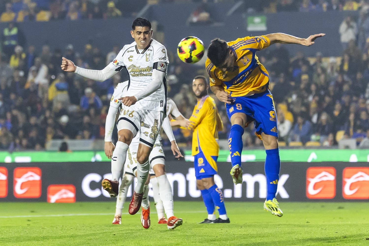 Foto: Cortesía