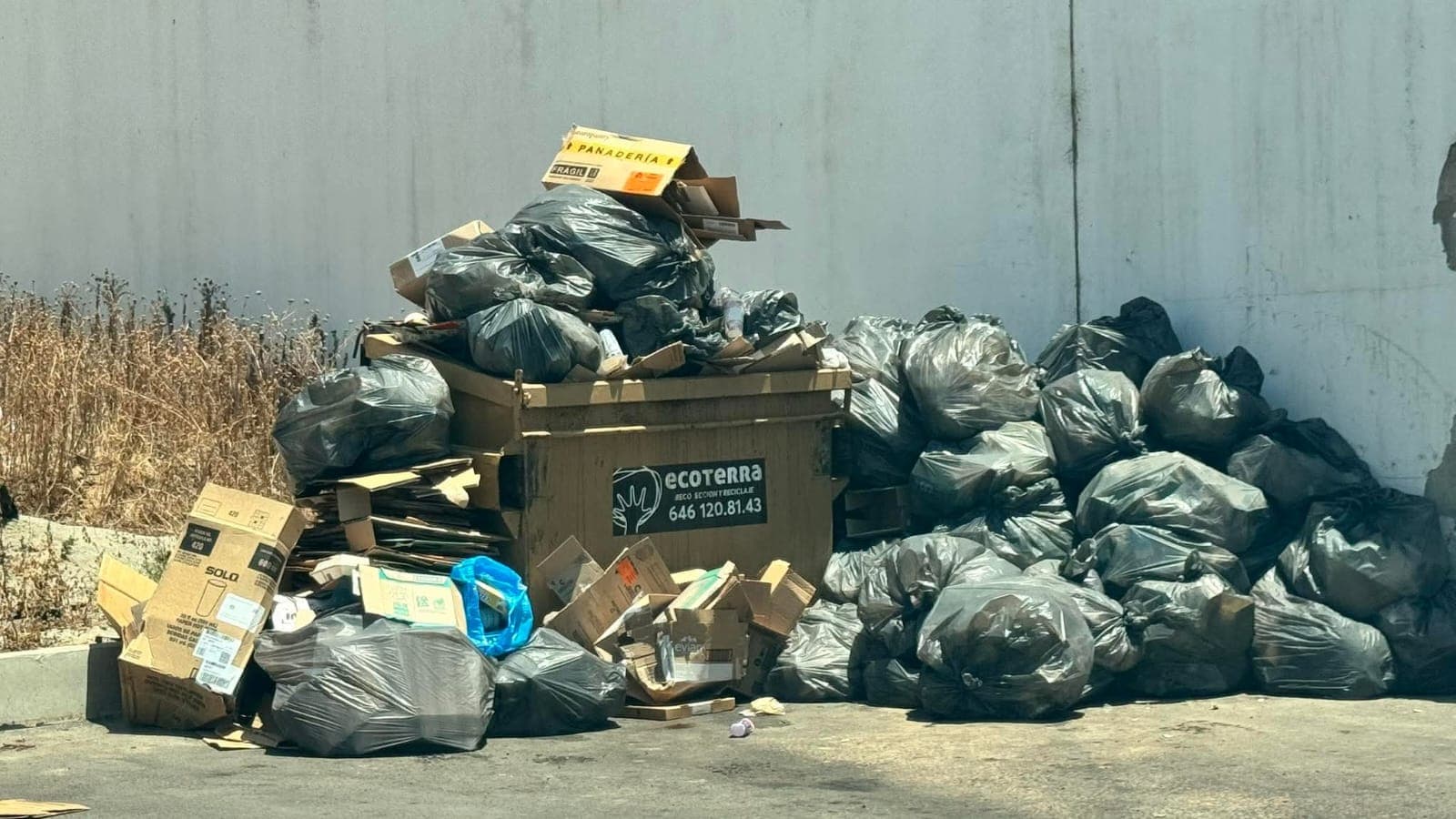 Foto: Baja News