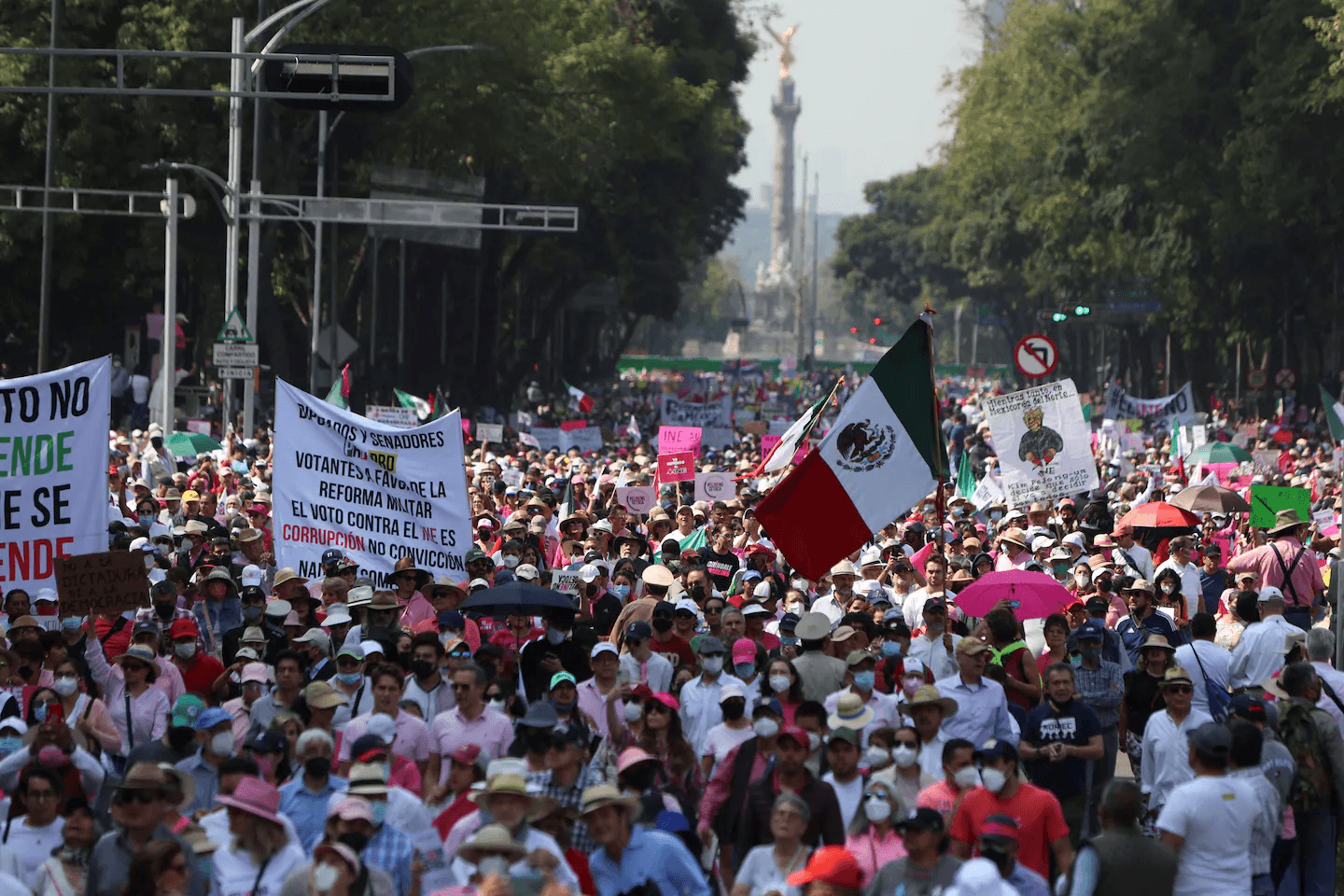 Imagen Cortesía