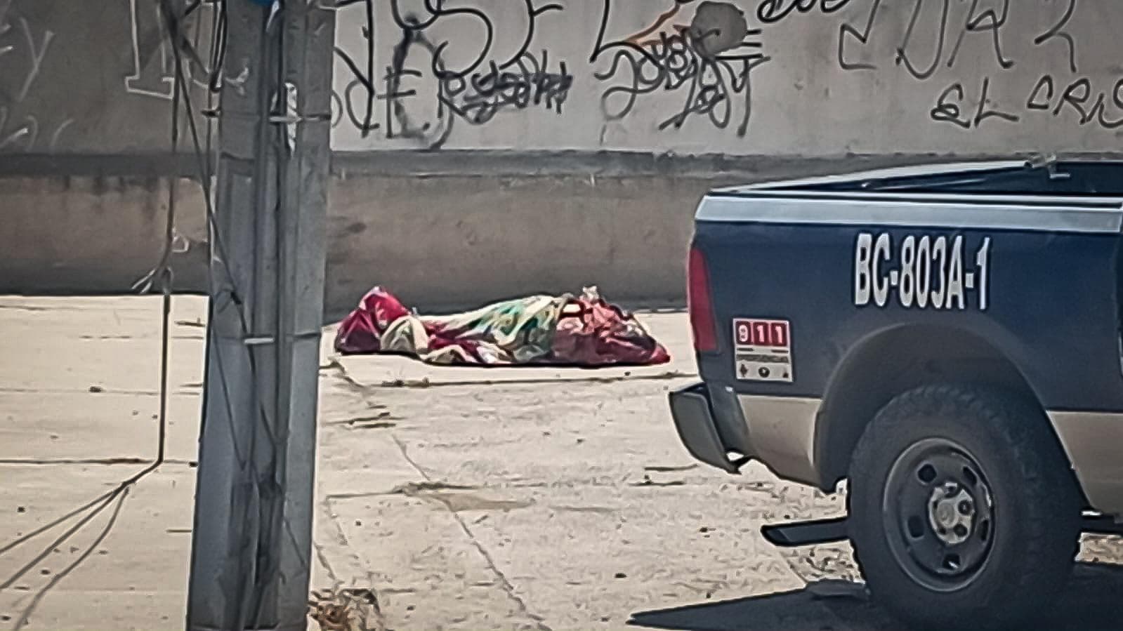 El hallazgo ocurrió sobre las calles Real de las Lomas y Real de Nayarit, donde corporaciones municipales, estatales y federales aseguraron la zona.