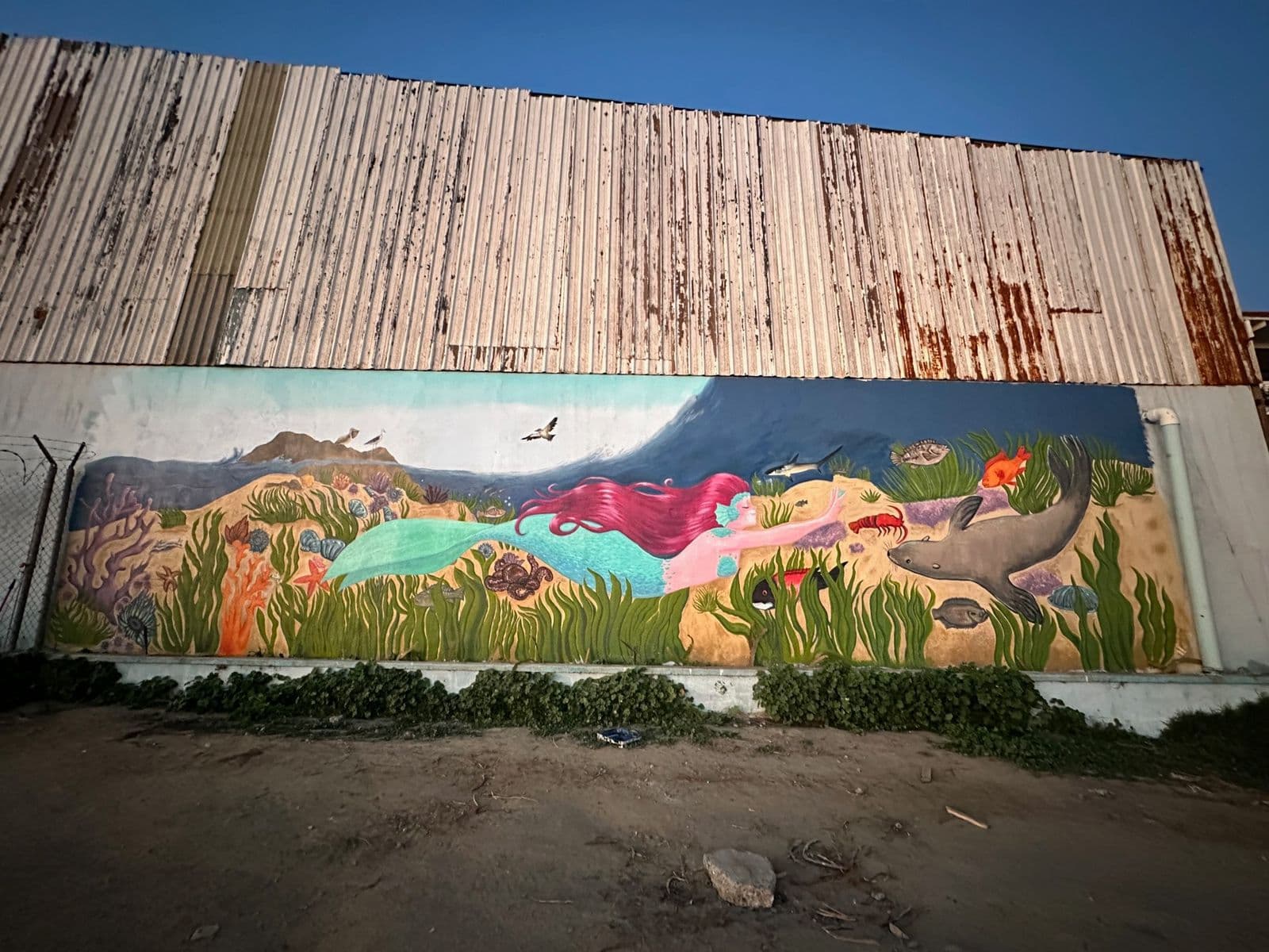Foto: Baja News