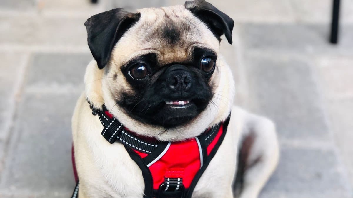 Foto: Cortesía