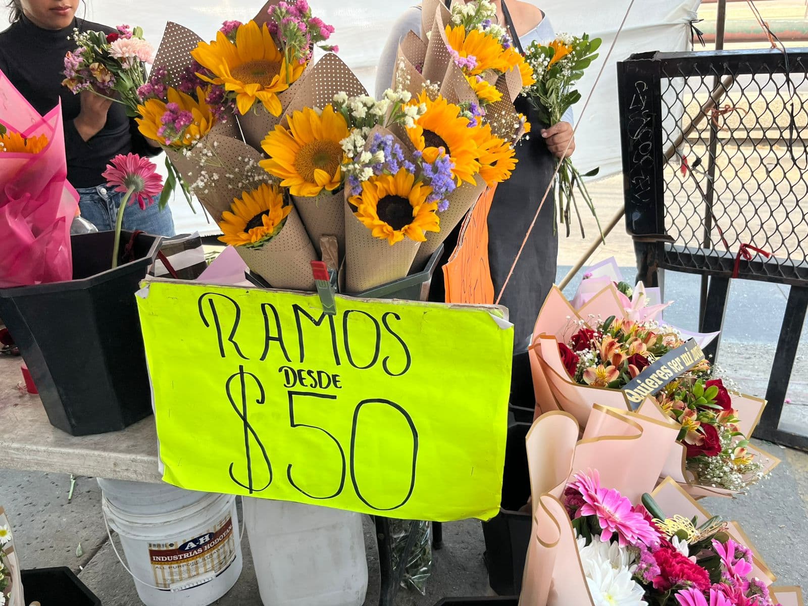 Foto: Baja News