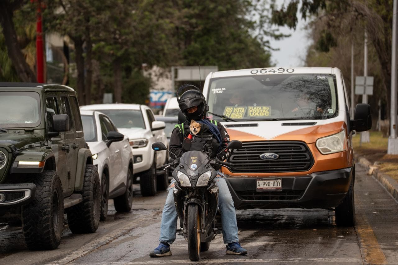 Foto: Border Zoom/Baja News