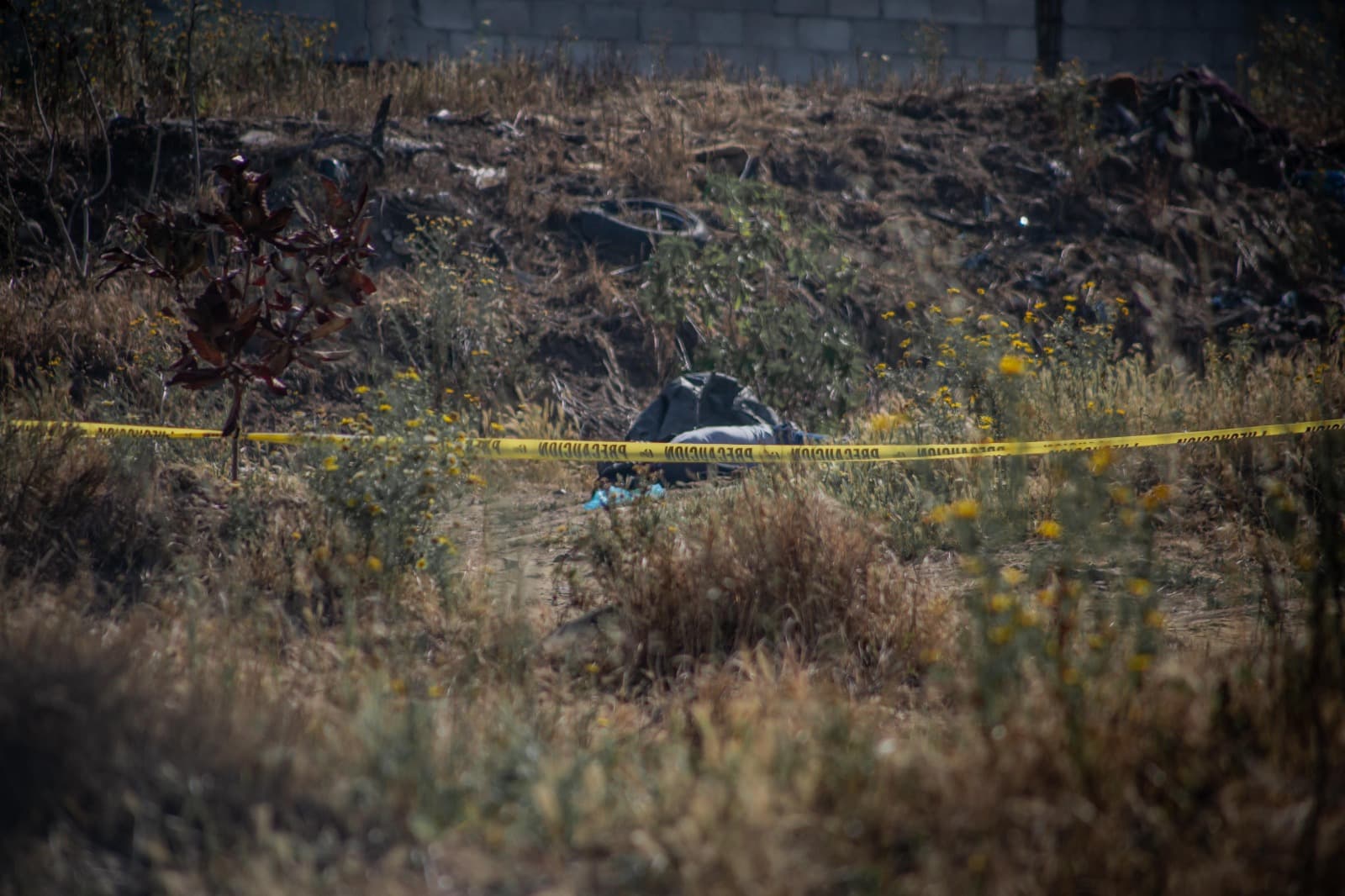 Foto: Border Zoom/Baja News