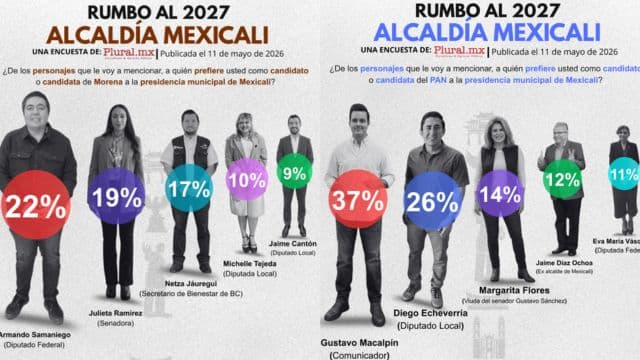 Foto: Web