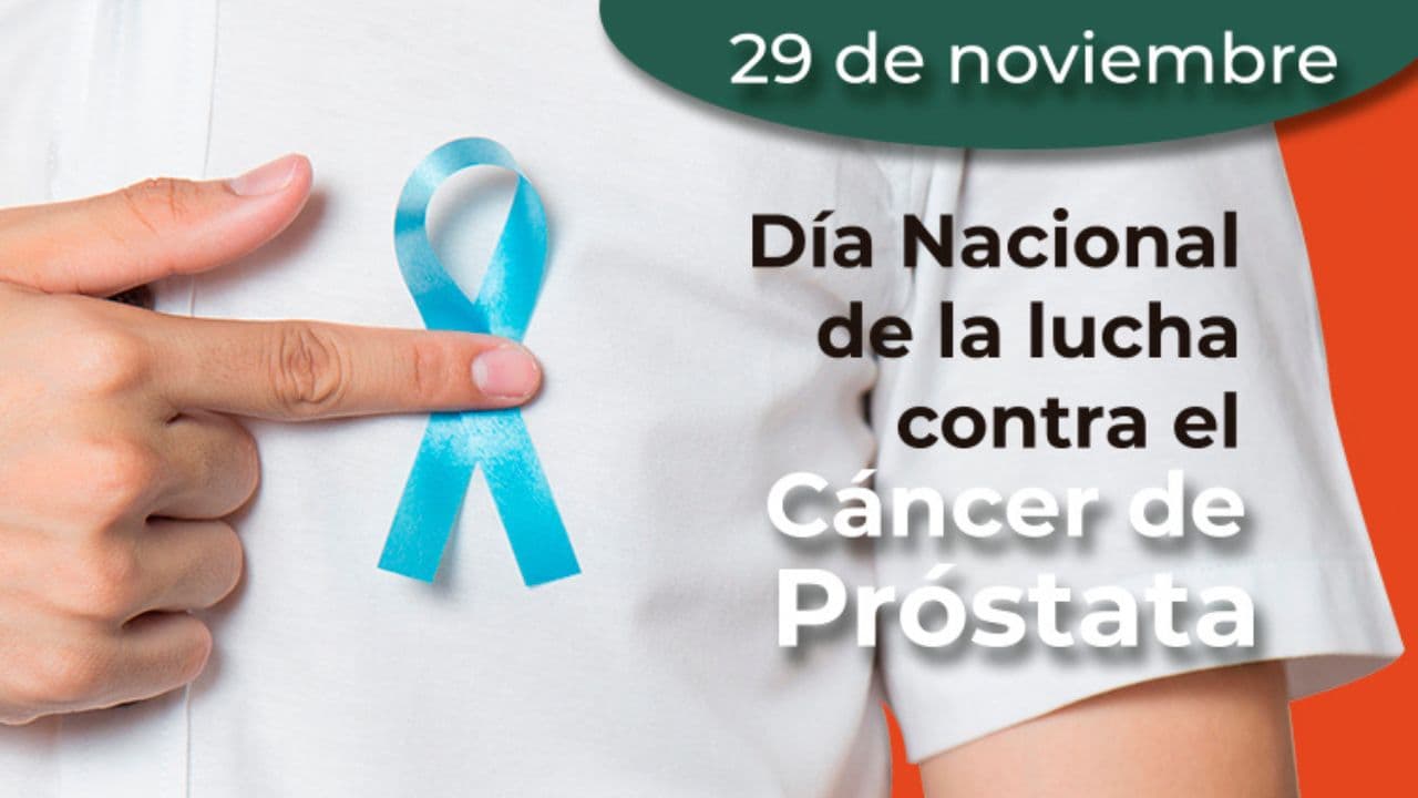 Fotos: web