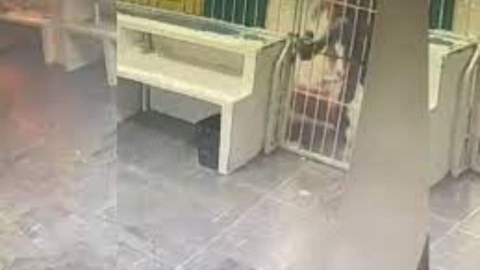[V]EDEO] Filtran vídeo de lo ocurrido en el INM de Juárez. I FOTO: WEB
