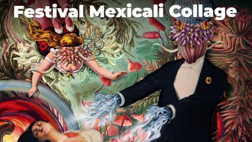 Llega a Tijuana el Festival de Mexicali Collage. I FOTO: WEB