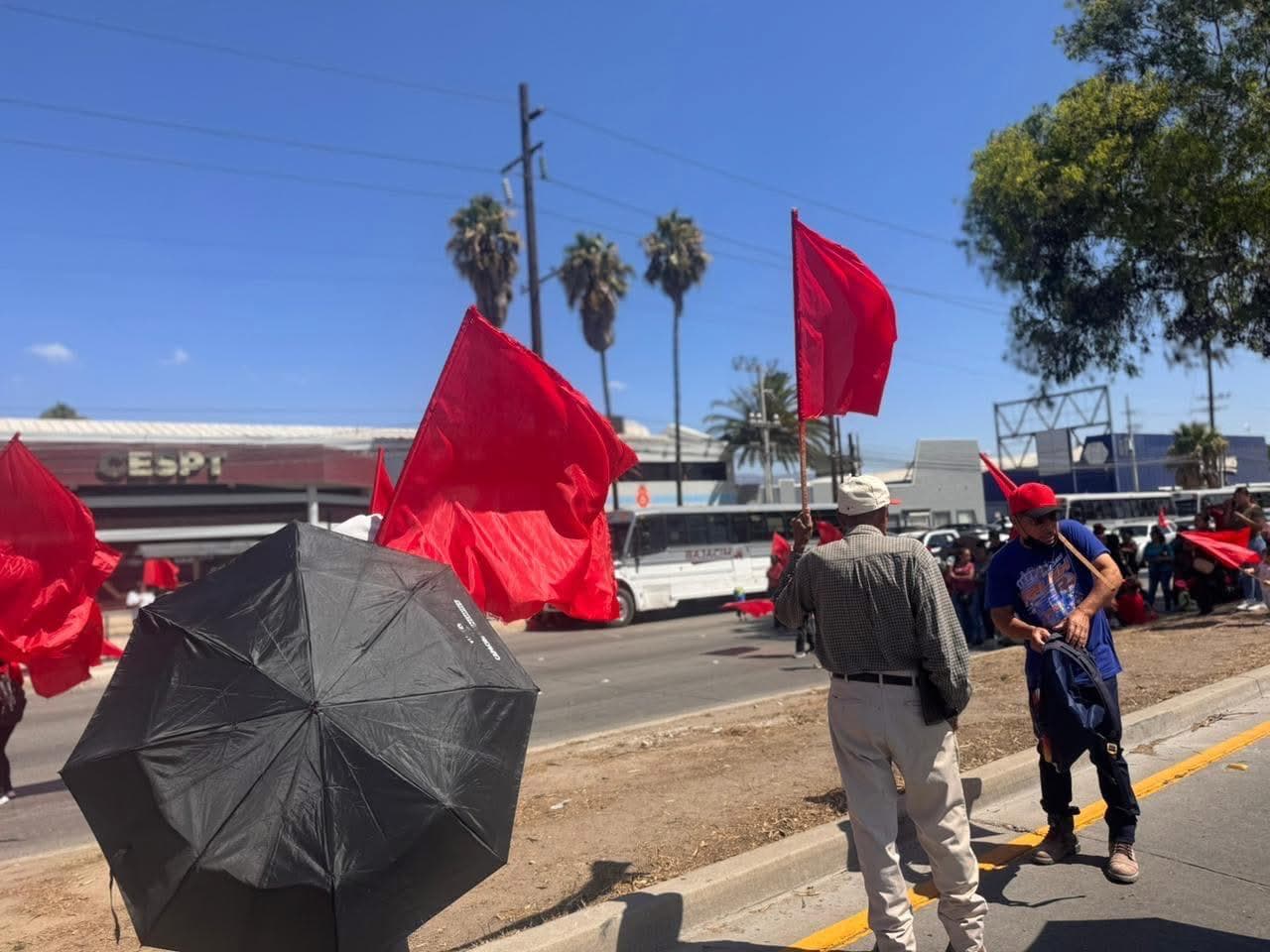 Foto: Baja News
