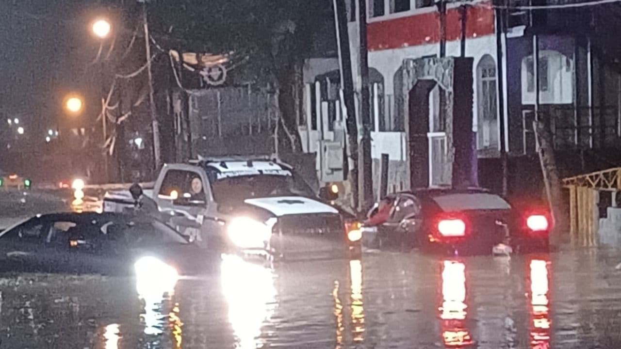 Foto: Cortesía