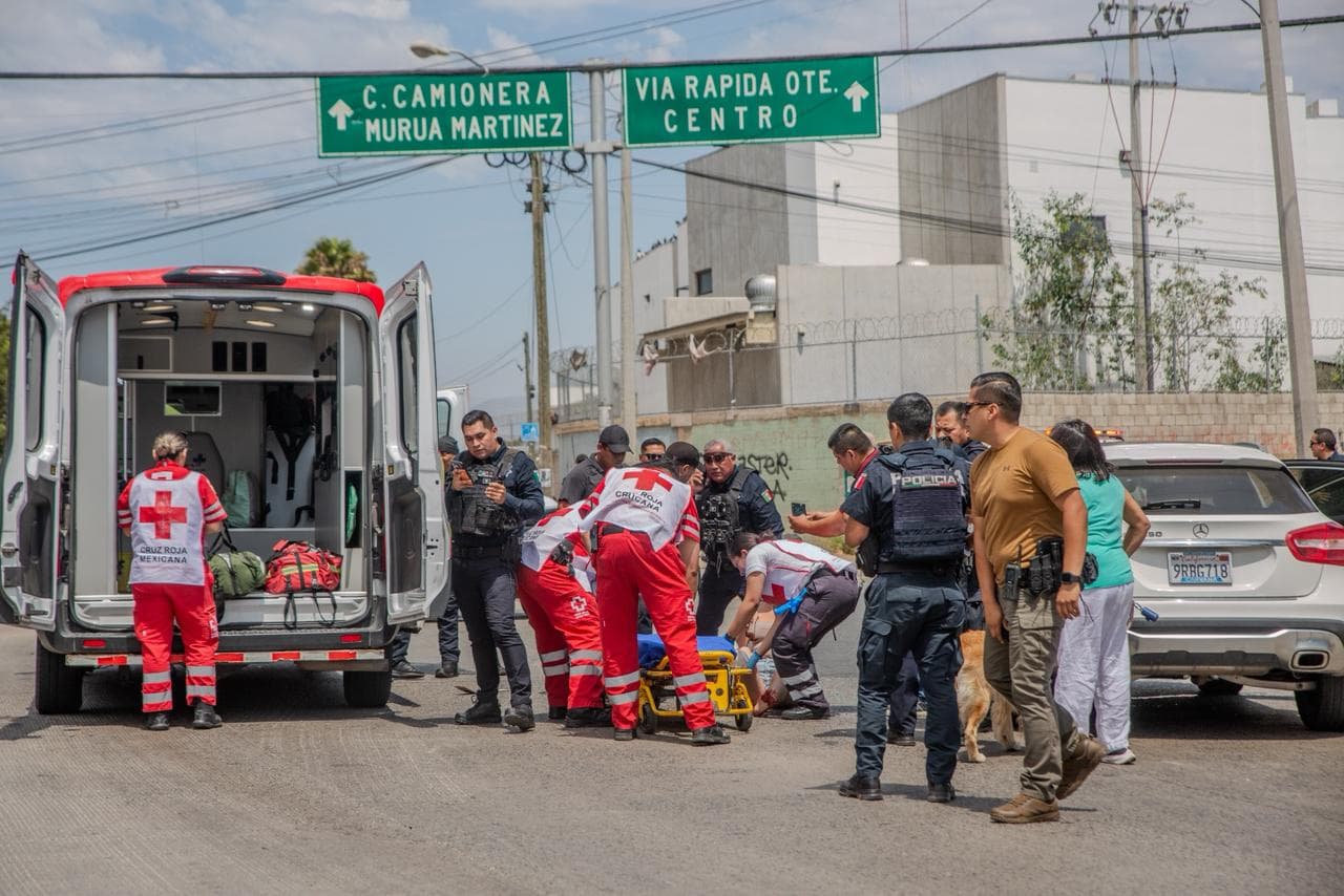 Fotos: Border Zoom