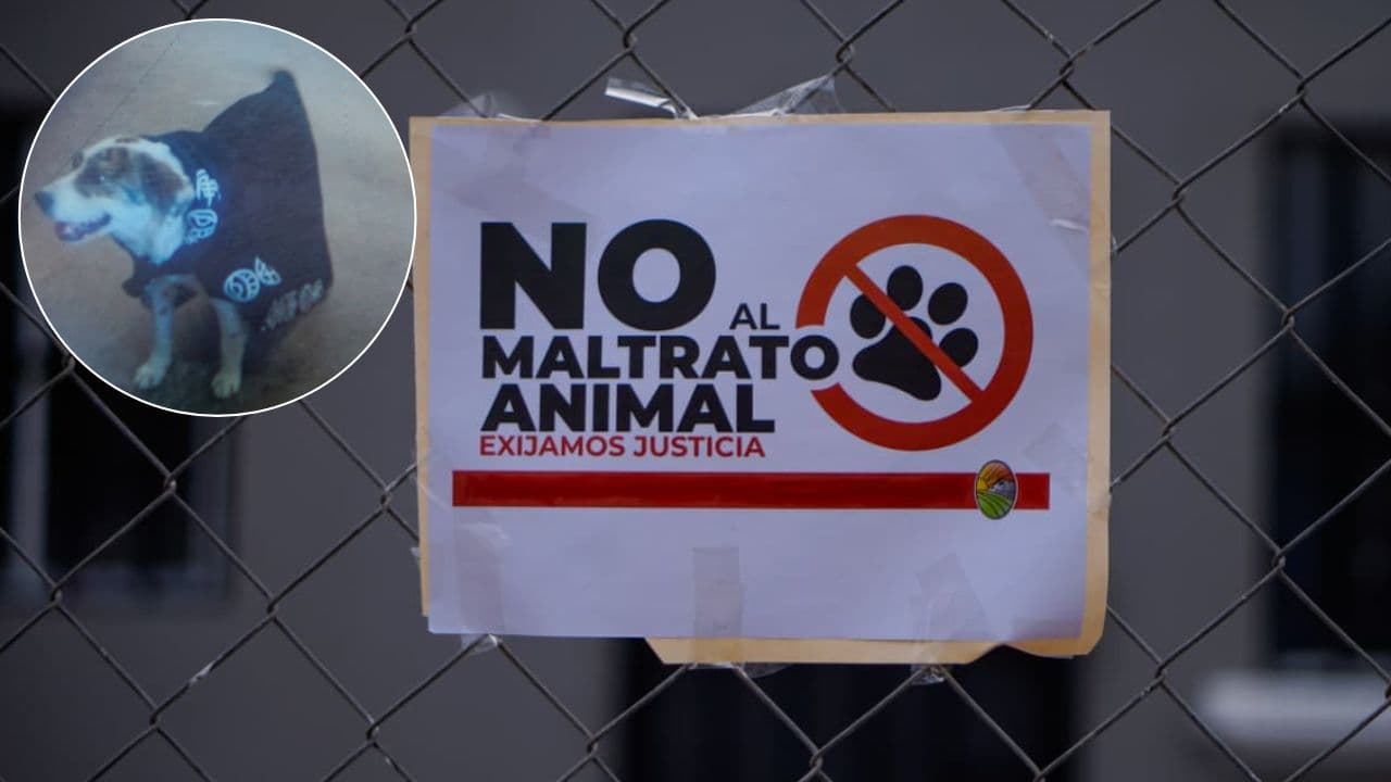 Foto: Border Zoom/Baja News