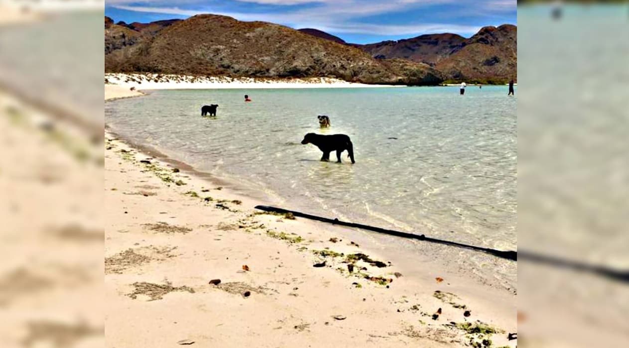 Foto: Cortesía