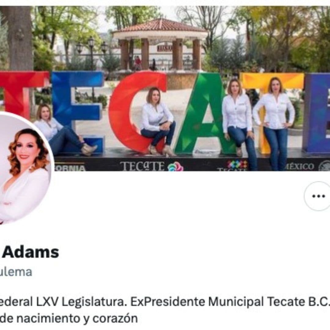 Renuncia, a Morena, diputada ‘pluri’ Zulema Adams I FOTO: WEB
