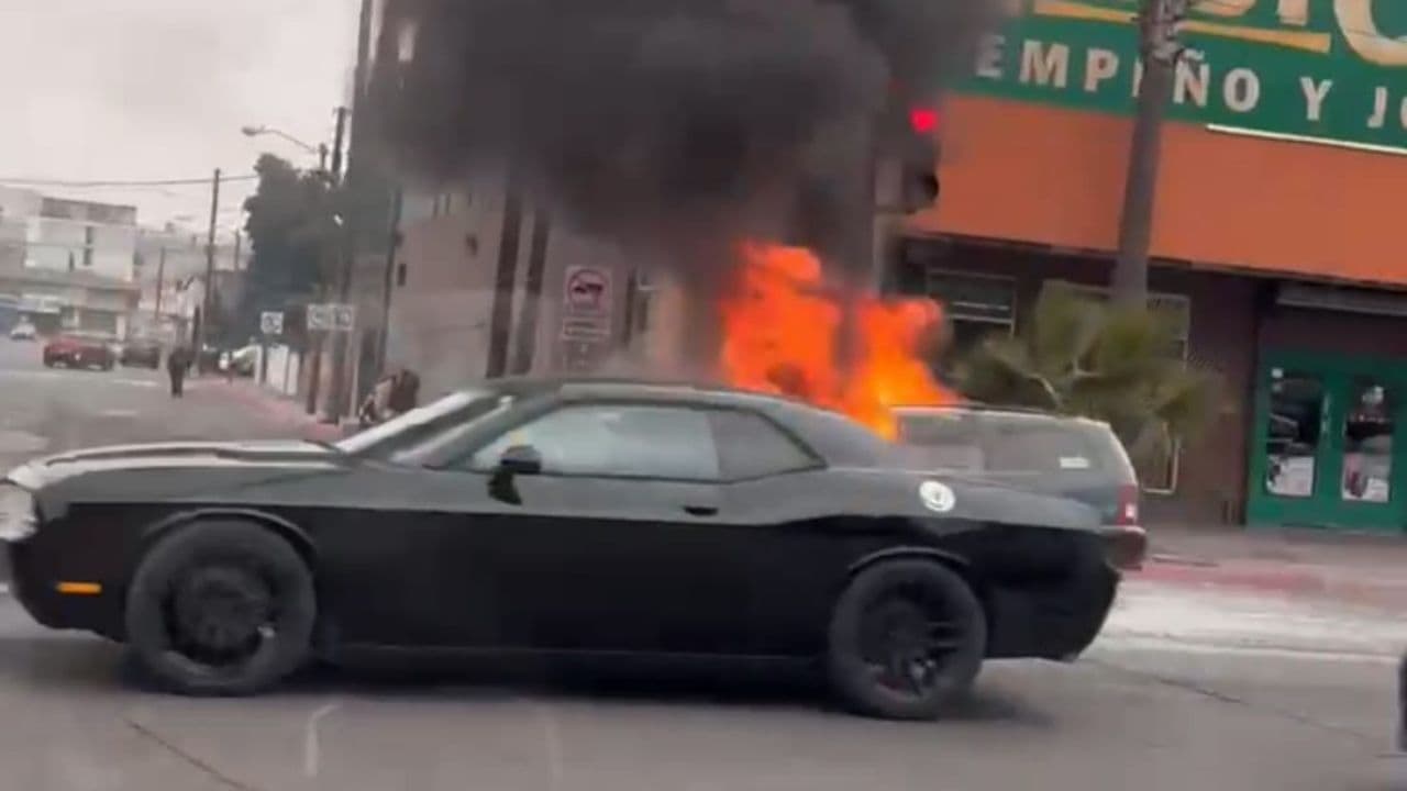 Foto: Cortesía