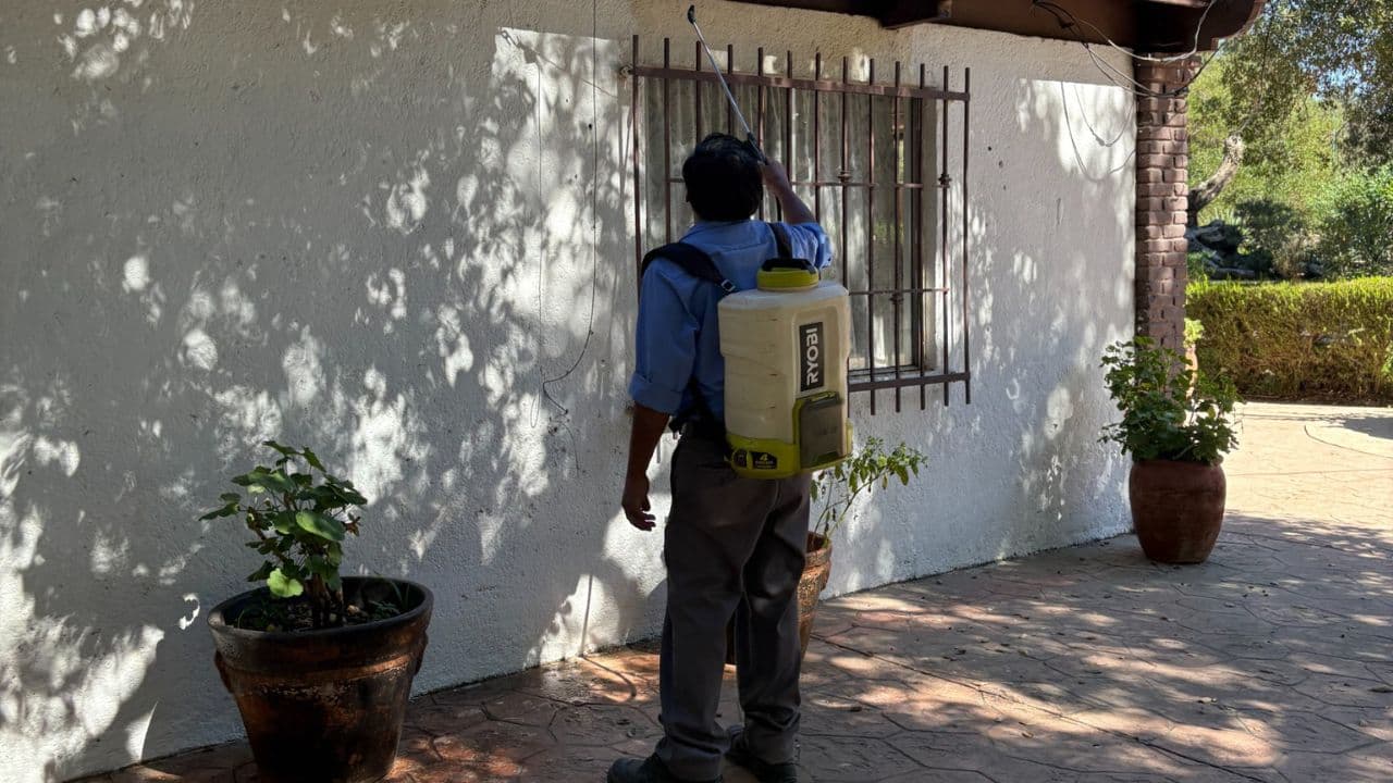 Foto: Baja News