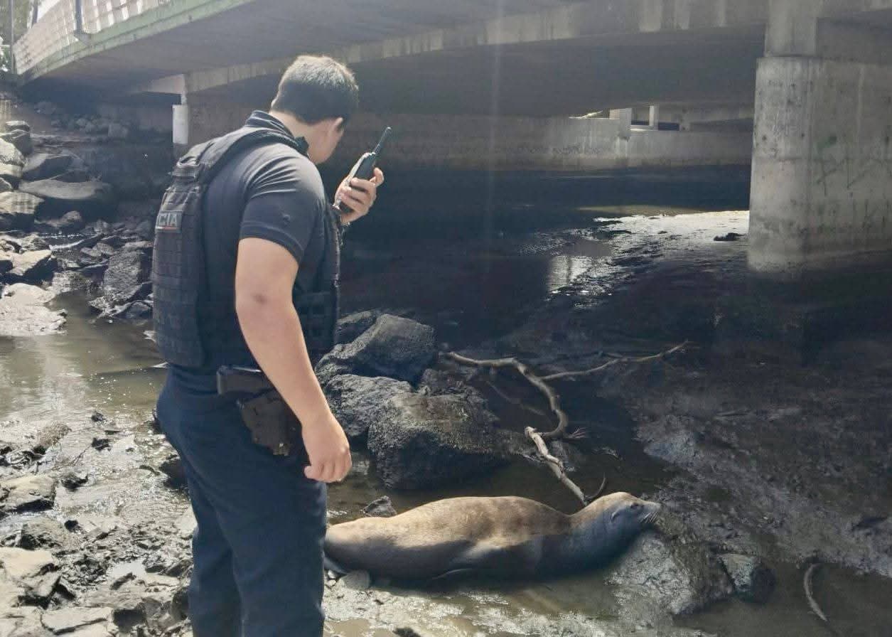 Foto: Baja News