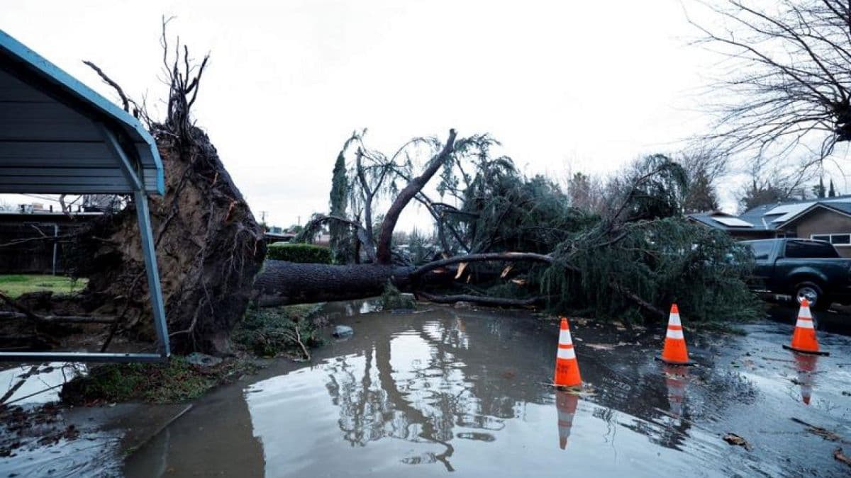 El panorama en el estado está lleno de árboles caídos sobre casas y automóviles, inundaciones y daños en la red eléctrica.