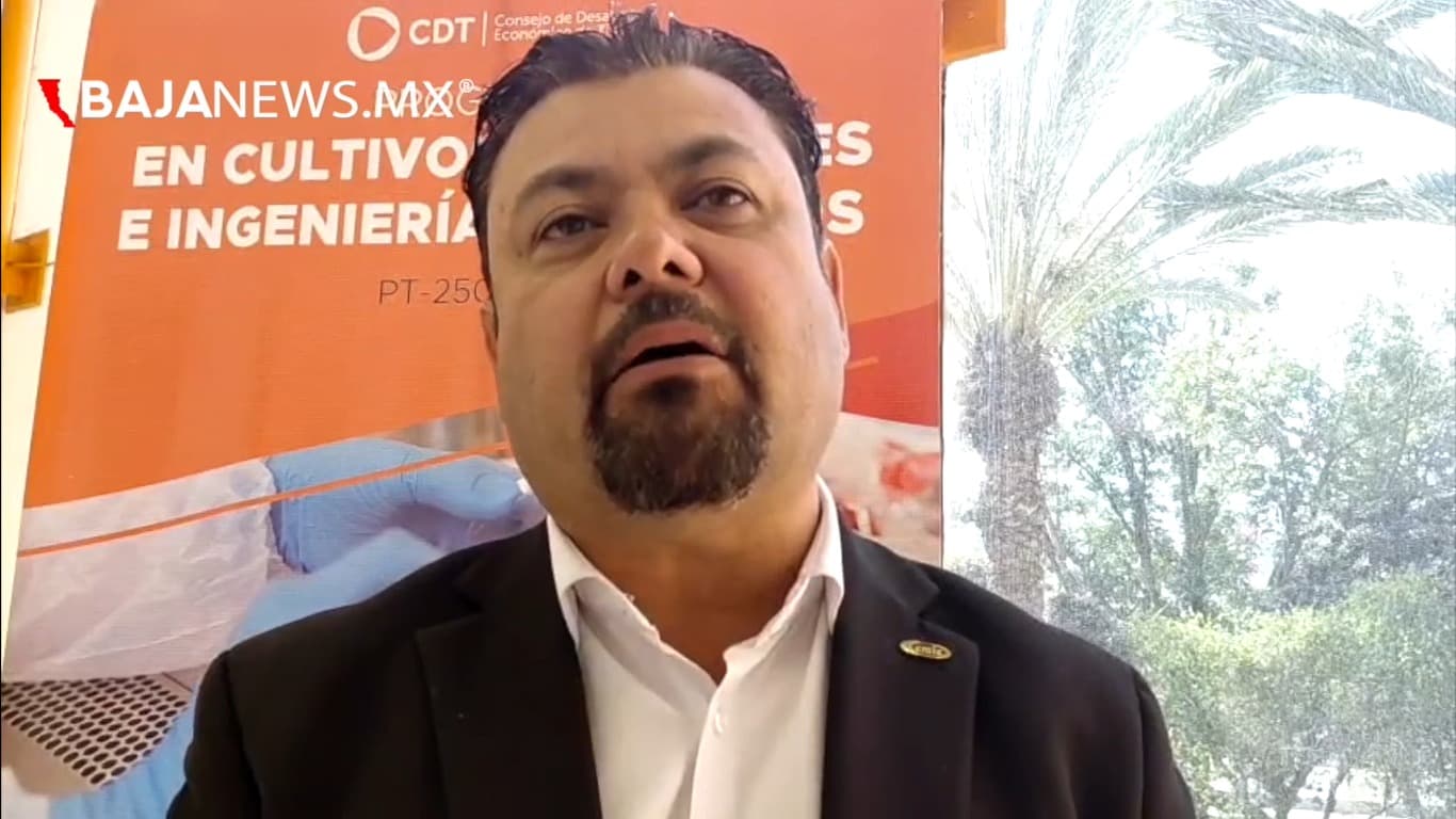 Foto: Baja News