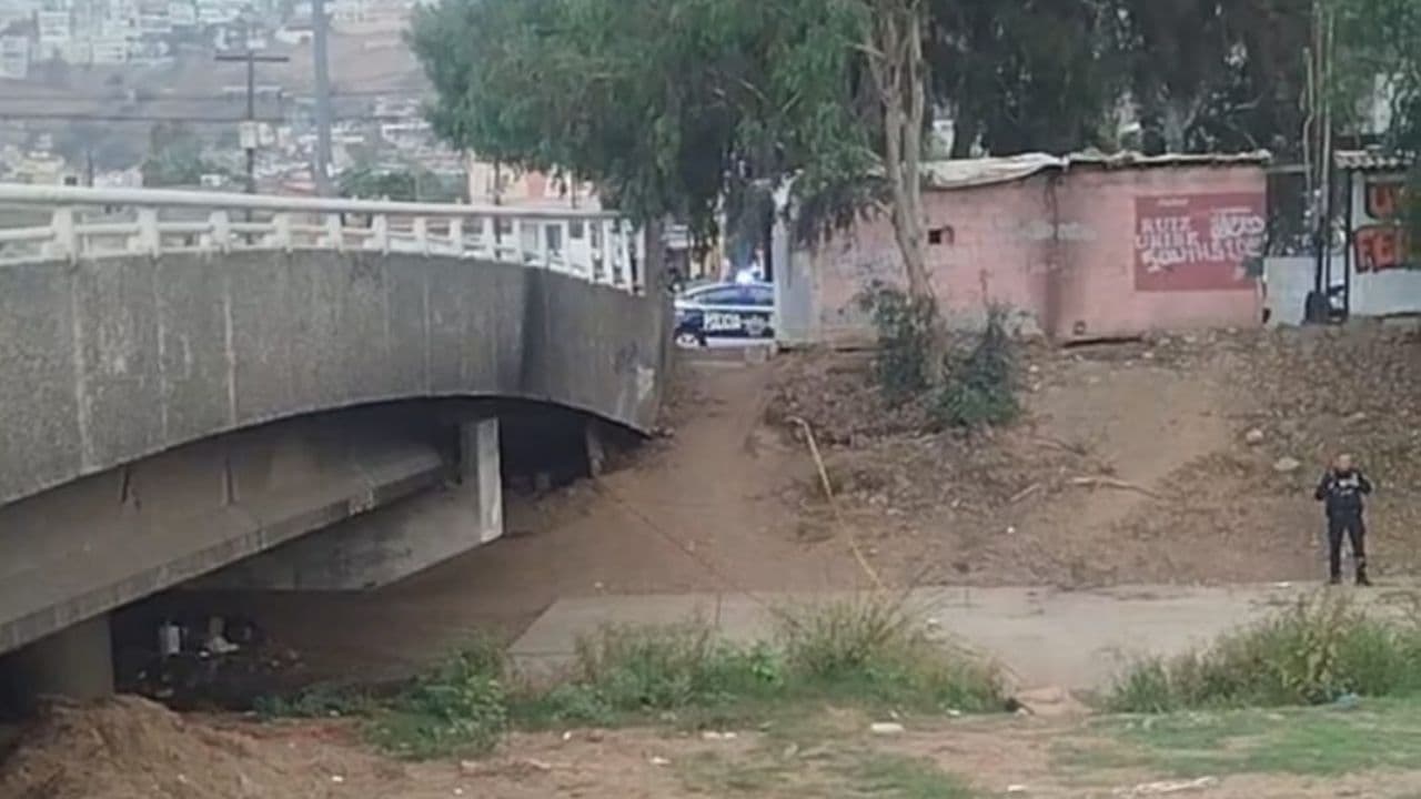 Foto: Cortesía