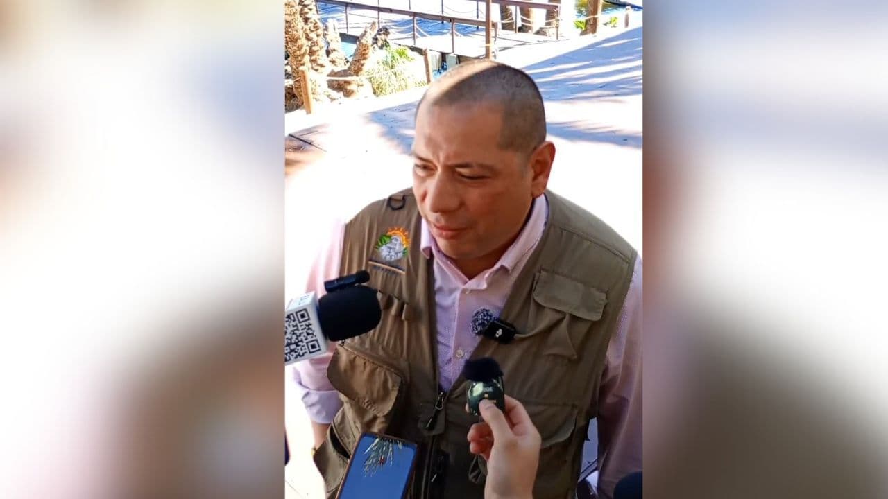 Fotos: Baja News