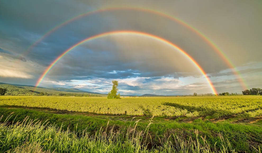 IMAGEN ILUSTRATIVA  IFOTO: PEXELS