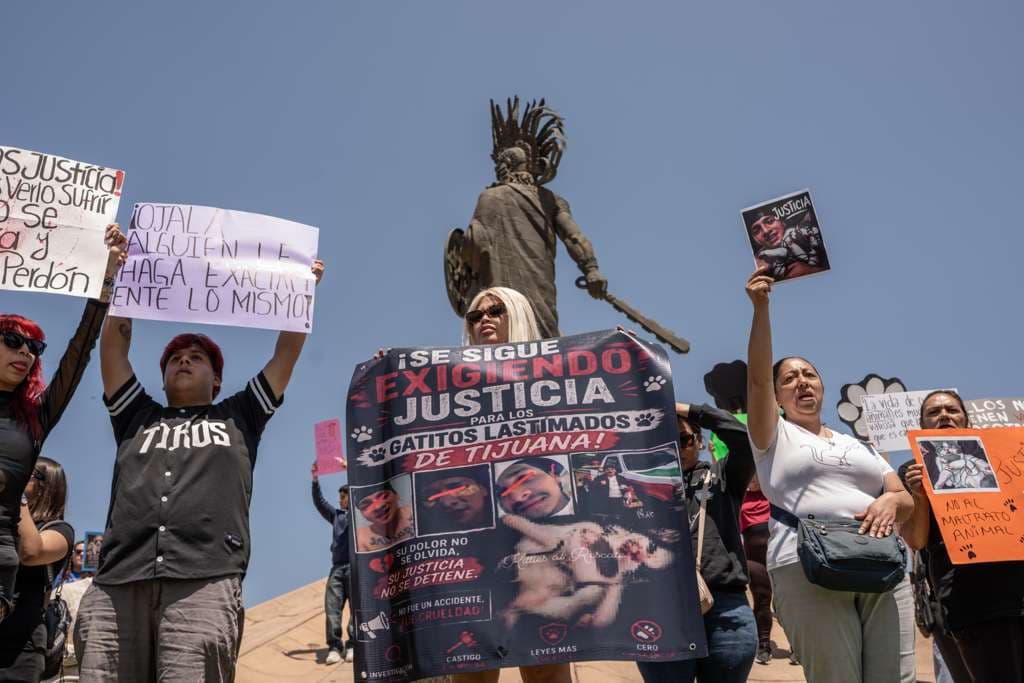 Foto: Border Zoom/Baja News