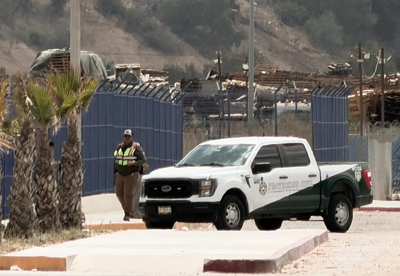 Fotos: Border Zoom