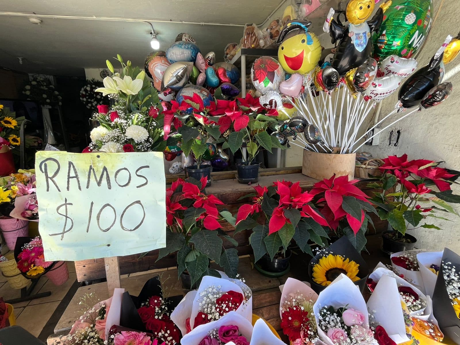 Foto: Baja News
