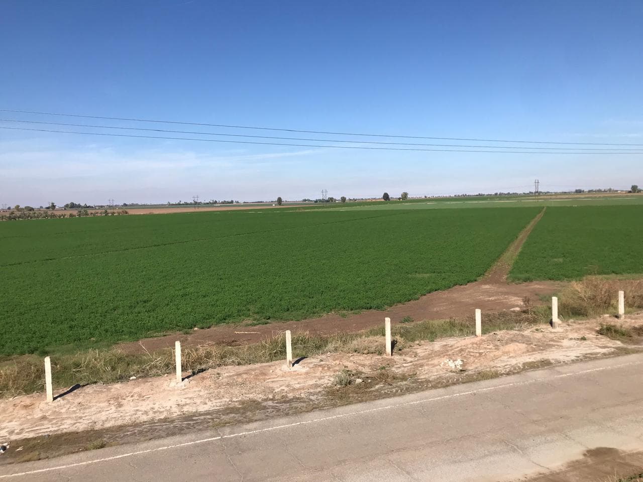 Foto: Baja News