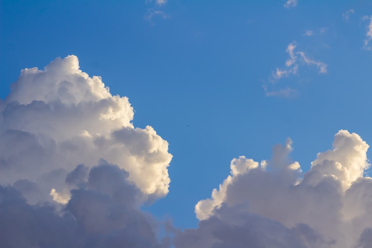 IMAGEN ILUSTRATIVA IFOTO: PEXELS