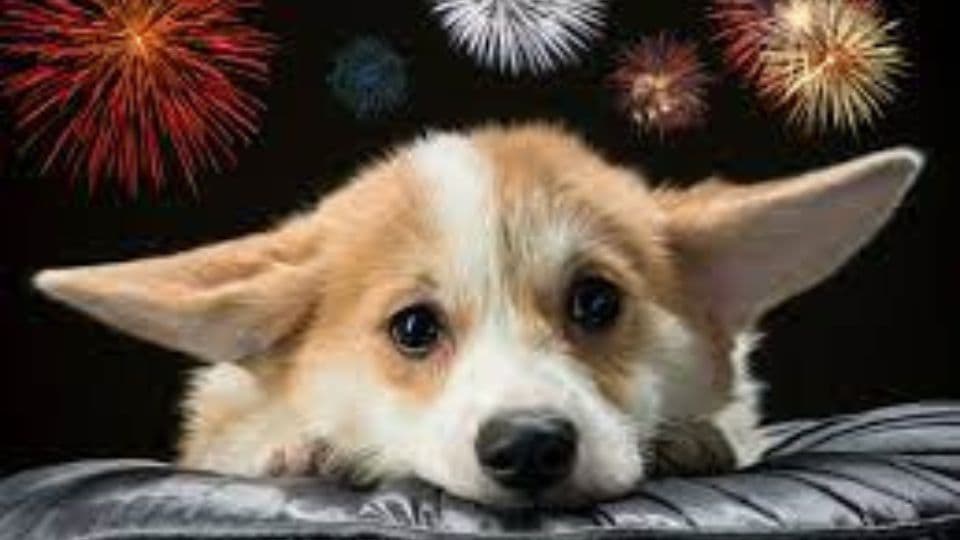 FOTO: WEB