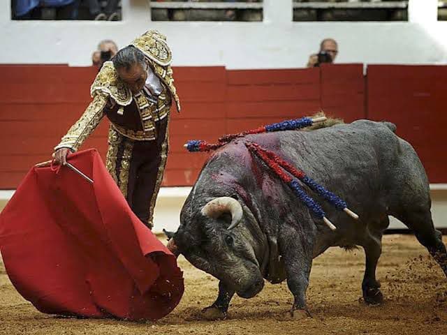 Foto: Baja News
