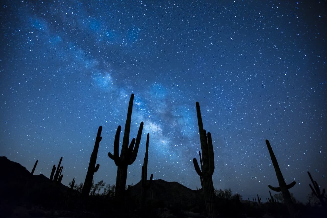 IMAGEN ILUSTRATIVA IFOTO: PEXELS
